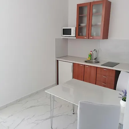 Apartment Dinko *